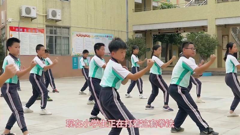 广东莫家拳南拳之一进入校园学生传承非物质文化还能强身健体