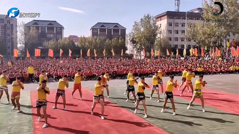 「少林短视频大赛」集体散打登封市少林小龙武术学校