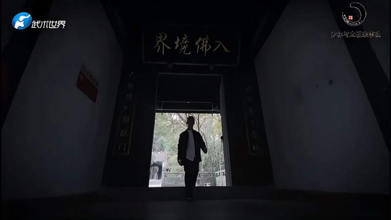 「少林武术短视频大赛」五步拳丽水潘杰明