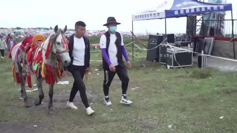 青海赛马大会马匹盛装出席展示多民族风情
