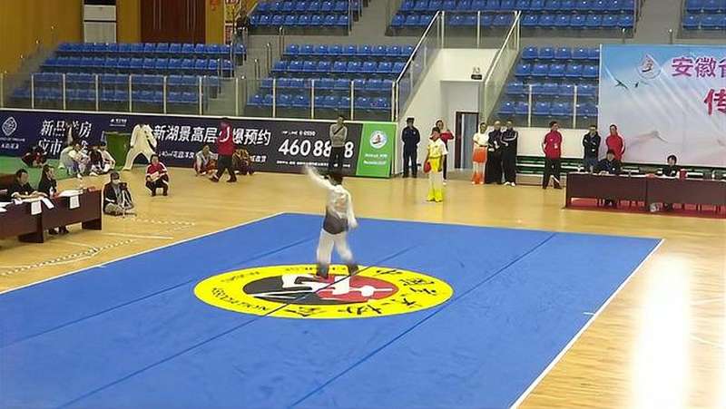 安徽省第五届全民健身运动会传统武术比赛在定远县开赛