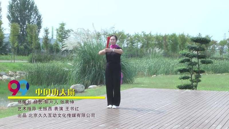 很好的扇子舞蹈需要的快来学习中国功夫扇