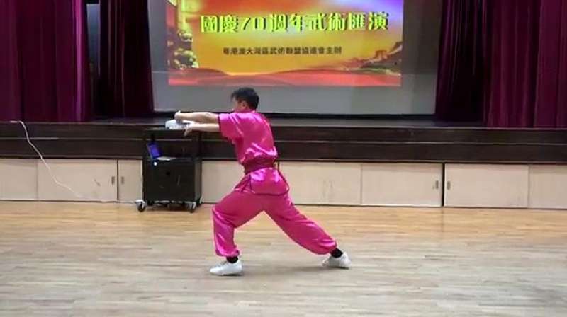 梅花拳传人在国庆武术汇演中的表演看看练的如何