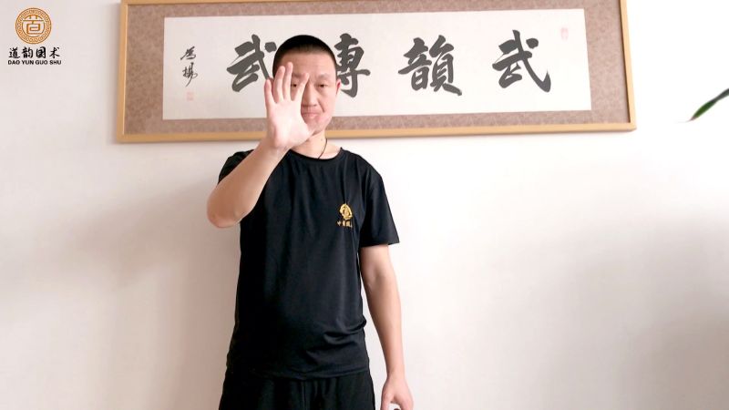 道韵筋骨开发传统武学内外家拳指掌练法之抓墙功一式分享（一）
