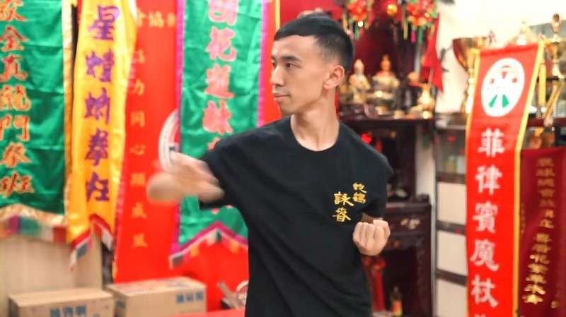 中国功夫蛇鹤咏春拳以象形之法演绎咏春拳术