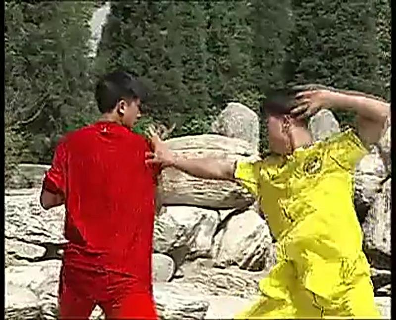 中国武术段位制系列教程八极拳五段套路标清