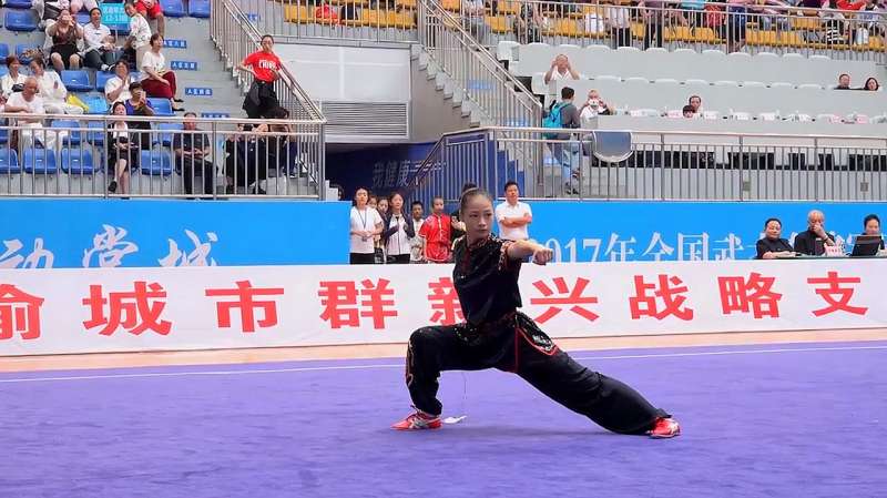 中国武术套路回顾女子九节鞭超极限武术欣赏只有惊叹