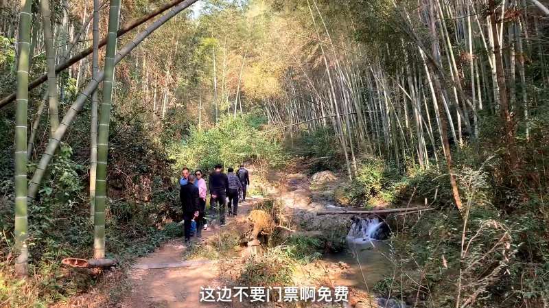 谁说来江西萍乡一定要去武功山这条龙溪谷风景优美还不要门票