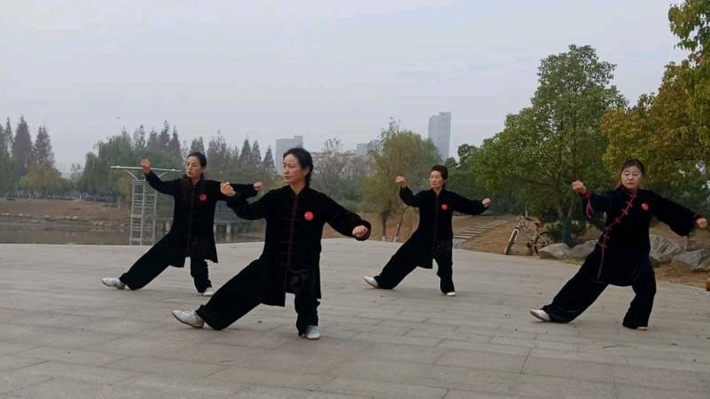 公园里实拍四姐妹晨练陈氏太极拳26式动作标准值得学习