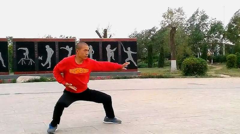 中华武术少林功夫周天龙展示太极拳太精彩了