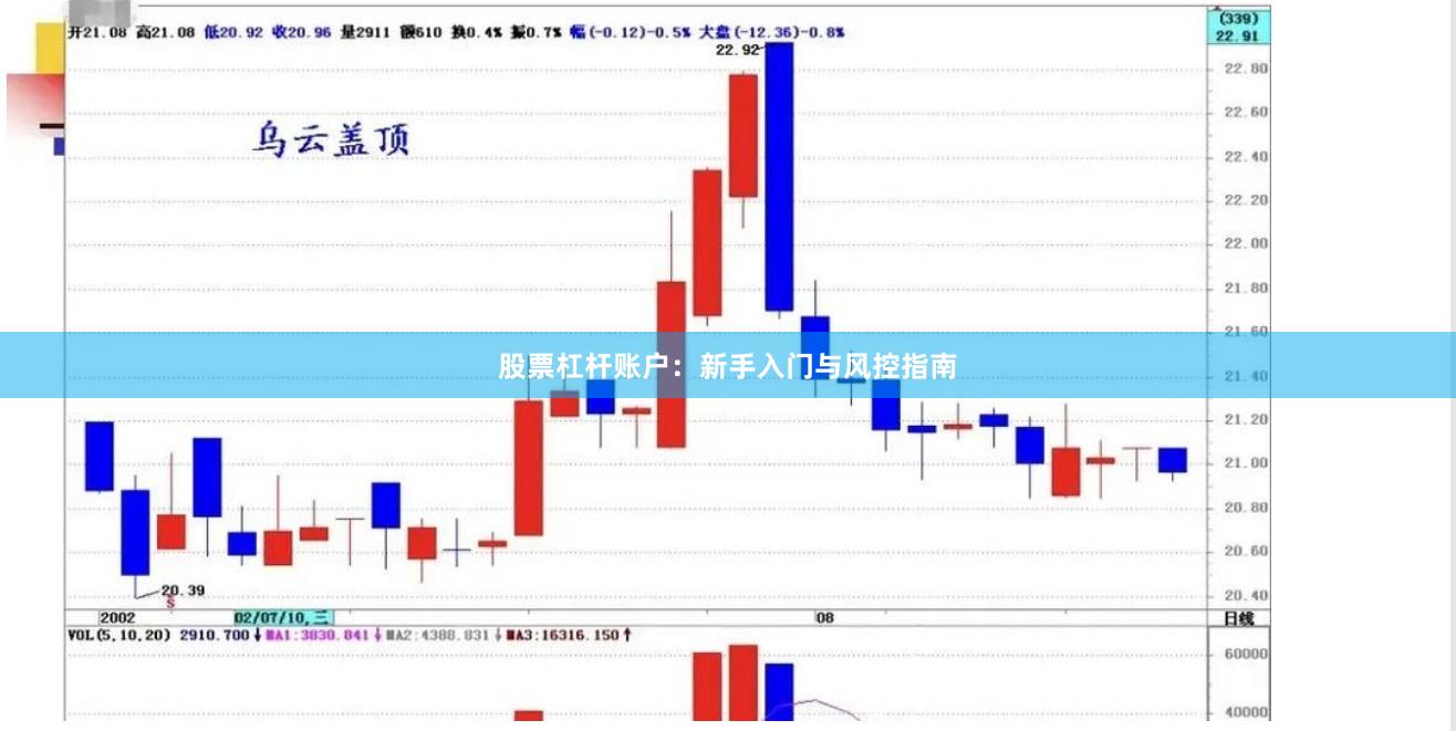 股票杠杆账户：新手入门与风控指南