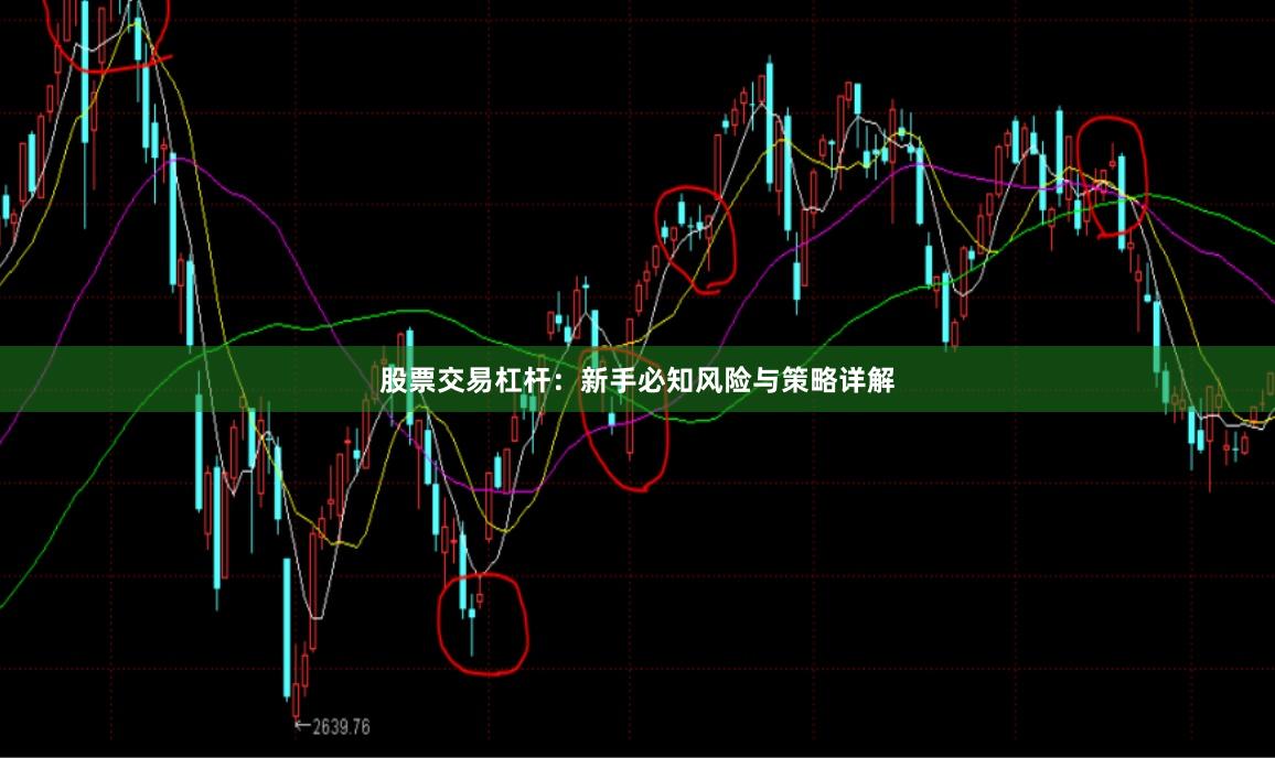 股票交易杠杆：新手必知风险与策略详解